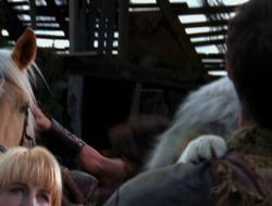 extant_XenaWarriorPrincess_6x10-OldAresHadAFarm_2988
