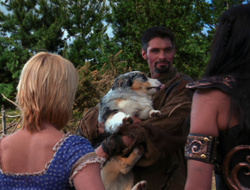 extant_XenaWarriorPrincess_6x10-OldAresHadAFarm_2995