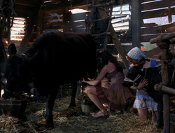 extant_XenaWarriorPrincess_6x10-OldAresHadAFarm_3027