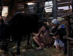 extant_XenaWarriorPrincess_6x10-OldAresHadAFarm_3028