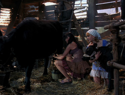 extant_XenaWarriorPrincess_6x10-OldAresHadAFarm_3029