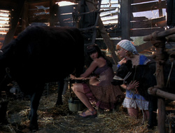 extant_XenaWarriorPrincess_6x10-OldAresHadAFarm_3030