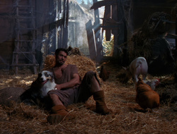 extant_XenaWarriorPrincess_6x10-OldAresHadAFarm_3048
