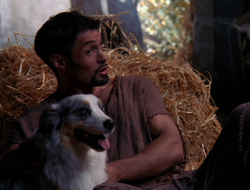 extant_XenaWarriorPrincess_6x10-OldAresHadAFarm_3056