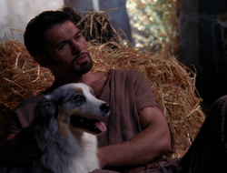 extant_XenaWarriorPrincess_6x10-OldAresHadAFarm_3058