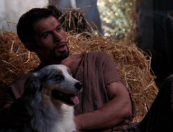 extant_XenaWarriorPrincess_6x10-OldAresHadAFarm_3059