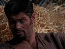 extant_XenaWarriorPrincess_6x10-OldAresHadAFarm_3068