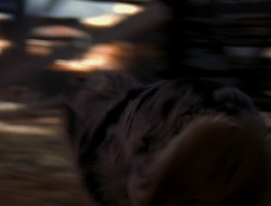 extant_XenaWarriorPrincess_6x10-OldAresHadAFarm_3070