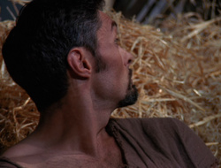 extant_XenaWarriorPrincess_6x10-OldAresHadAFarm_3118