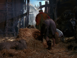 extant_XenaWarriorPrincess_6x10-OldAresHadAFarm_3122