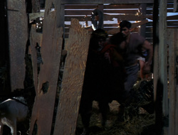 extant_XenaWarriorPrincess_6x10-OldAresHadAFarm_3125