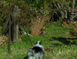 extant_XenaWarriorPrincess_6x10-OldAresHadAFarm_3129