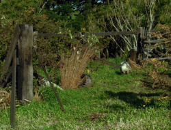 extant_XenaWarriorPrincess_6x10-OldAresHadAFarm_3131