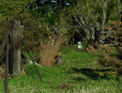 extant_XenaWarriorPrincess_6x10-OldAresHadAFarm_3132