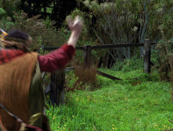 extant_XenaWarriorPrincess_6x10-OldAresHadAFarm_3145