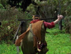 extant_XenaWarriorPrincess_6x10-OldAresHadAFarm_3146