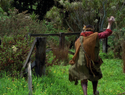 extant_XenaWarriorPrincess_6x10-OldAresHadAFarm_3147