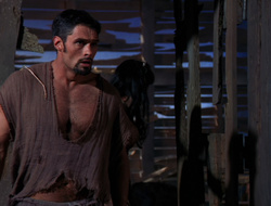extant_XenaWarriorPrincess_6x10-OldAresHadAFarm_3155