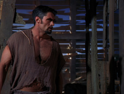 extant_XenaWarriorPrincess_6x10-OldAresHadAFarm_3157