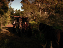 extant_XenaWarriorPrincess_6x10-OldAresHadAFarm_3162