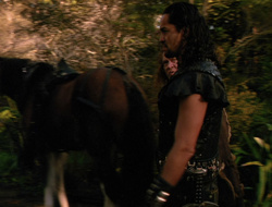 extant_XenaWarriorPrincess_6x10-OldAresHadAFarm_3169
