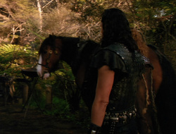 extant_XenaWarriorPrincess_6x10-OldAresHadAFarm_3170