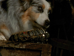 extant_XenaWarriorPrincess_6x10-OldAresHadAFarm_3199