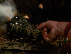 extant_XenaWarriorPrincess_6x10-OldAresHadAFarm_3204