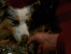 extant_XenaWarriorPrincess_6x10-OldAresHadAFarm_3206
