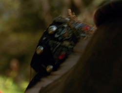 extant_XenaWarriorPrincess_6x10-OldAresHadAFarm_3215