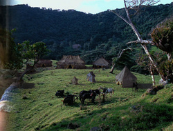extant_XenaWarriorPrincess_6x10-OldAresHadAFarm_3309