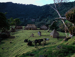 extant_XenaWarriorPrincess_6x10-OldAresHadAFarm_3310