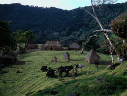 extant_XenaWarriorPrincess_6x10-OldAresHadAFarm_3311