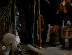 extant_XenaWarriorPrincess_6x10-OldAresHadAFarm_3317
