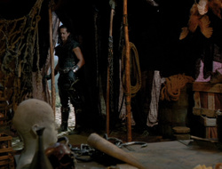 extant_XenaWarriorPrincess_6x10-OldAresHadAFarm_3323