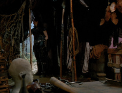 extant_XenaWarriorPrincess_6x10-OldAresHadAFarm_3330