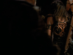 extant_XenaWarriorPrincess_6x10-OldAresHadAFarm_3509
