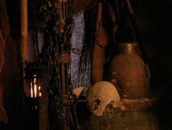 extant_XenaWarriorPrincess_6x10-OldAresHadAFarm_3533