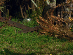 extant_XenaWarriorPrincess_6x10-OldAresHadAFarm_3566