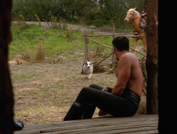 extant_XenaWarriorPrincess_6x10-OldAresHadAFarm_3577