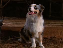 extant_XenaWarriorPrincess_6x10-OldAresHadAFarm_3639