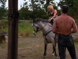 extant_XenaWarriorPrincess_6x10-OldAresHadAFarm_3703