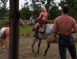 extant_XenaWarriorPrincess_6x10-OldAresHadAFarm_3705