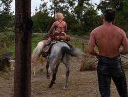 extant_XenaWarriorPrincess_6x10-OldAresHadAFarm_3706