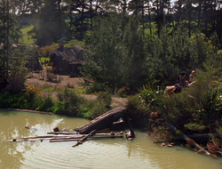 extant_XenaWarriorPrincess_6x10-OldAresHadAFarm_3758