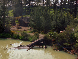 extant_XenaWarriorPrincess_6x10-OldAresHadAFarm_3759
