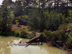 extant_XenaWarriorPrincess_6x10-OldAresHadAFarm_3761